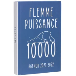 Agenda scolaire Premium Flemme 2021 2022*Gifi