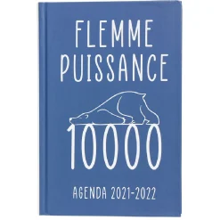 Agenda scolaire Premium Flemme 2021 2022*Gifi