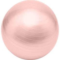 Gifi Ballon de fitness Ø65cm avec pompe manuelle