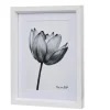 Gifi Cadre déco fleur lotus noir et blanc