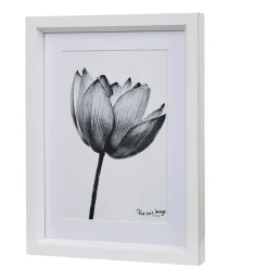 Gifi Cadre déco fleur lotus noir et blanc