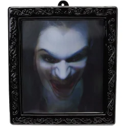 Cadre décoration vampire*Gifi Sale