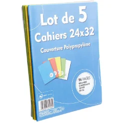 Cahier grands carreaux couverture rigide 96 pages 24x32cm x5*Gifi New