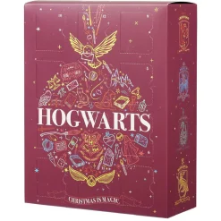 Calendrier de l'Avent Harry Potter chaussettes*Gifi Clearance