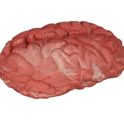 Cerveau Halloween*Gifi