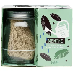 Gifi Coffret Des petites graines à planter toute l'année Menthe
