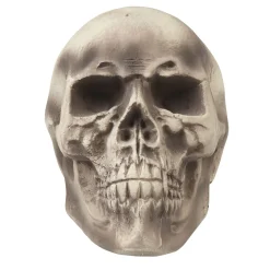 Crâne tête de mort Halloween*Gifi Best