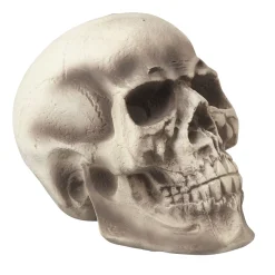 Crâne tête de mort Halloween*Gifi Best