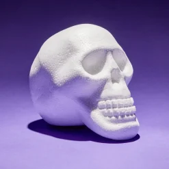 Gifi Décoration Halloween à personnaliser tête de mort ou citrouille - 2 modèles