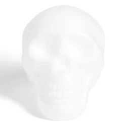 Gifi Décoration Halloween à personnaliser tête de mort ou citrouille - 2 modèles