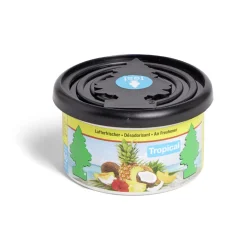 Gifi Désodorisant voiture pot Arbre Magique senteur tropicale