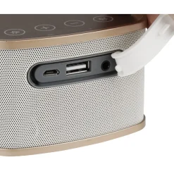 Enceinte bluetooth 3 en 1 avec anse*Gifi