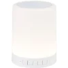 Enceinte bluetooth lampe led tactile Homday*Gifi Best