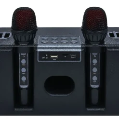 Enceinte karaoké 2 micros Homday Party - portée 10m autonomie 3h*Gifi Online
