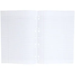 Feuille copie double perforée grands carreaux 21x29,7 cm 400 pages*Gifi Discount