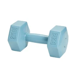 Gifi Haltère de sport 2kg
