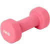 Gifi Haltère 2 kg lot de 2