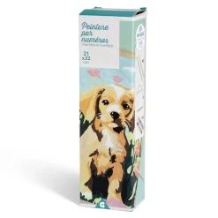 Gifi Kit créatif 15 pièces peinture par numéros 21x32cm 3 modèles
