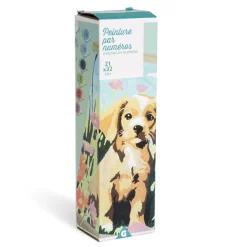 Gifi Kit créatif 15 pièces peinture par numéros 21x32cm 3 modèles