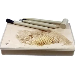 Gifi Kit dinosaure + outils d'excavation