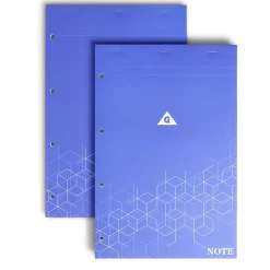 Lot de 2 bloc-notes perforés à petits carreaux A4 - 160 pages*Gifi Clearance