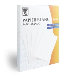 Lot de 500 feuilles de papier blanc A4 80g*Gifi Clearance