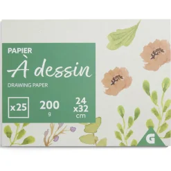 Gifi Lot de 25 feuilles de papier à dessin 200g blanc 24x32cm