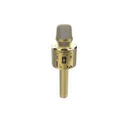 Micro karaoké avec LED multicolores 3 fonctions VOIX*Gifi Best