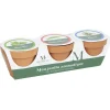Online Gifi Mon jardin aromatique Mességué