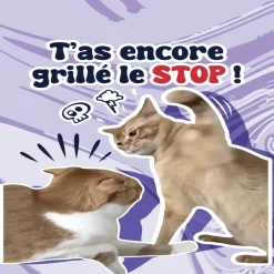 Gifi Parfum d'ambiance pour voiture senteur lavande