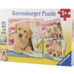 Gifi Jeux De Société Et Éducatifs<Puzzle x3 49 pièces avec 2 posters