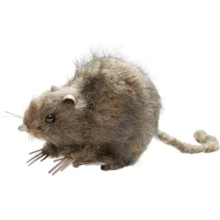 Rat noir ou marron décoration Halloween*Gifi Discount