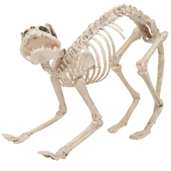 Squelette chat Halloween*Gifi Hot