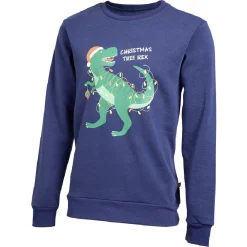 Sale Gifi Sweat de Noël homme Christmas Tree Rex bleu et vert